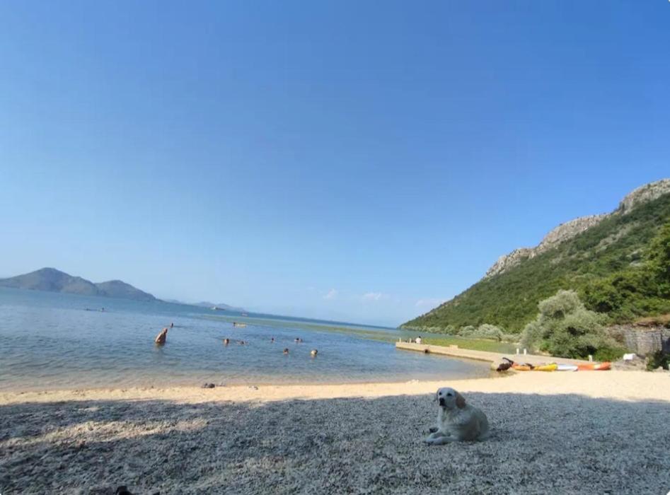 Ivan's Virpazar